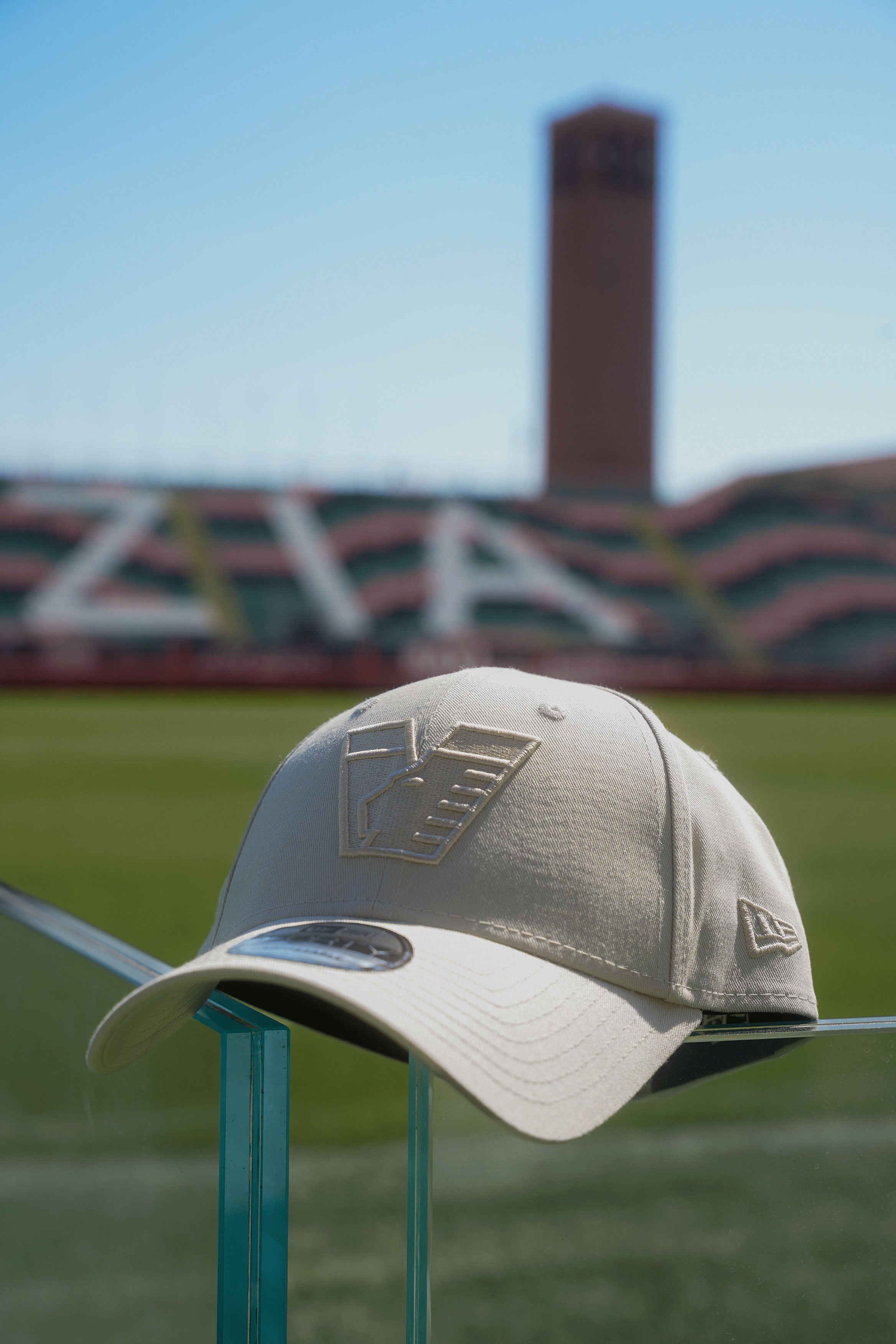 New Era 9FORTY Tonal Stone