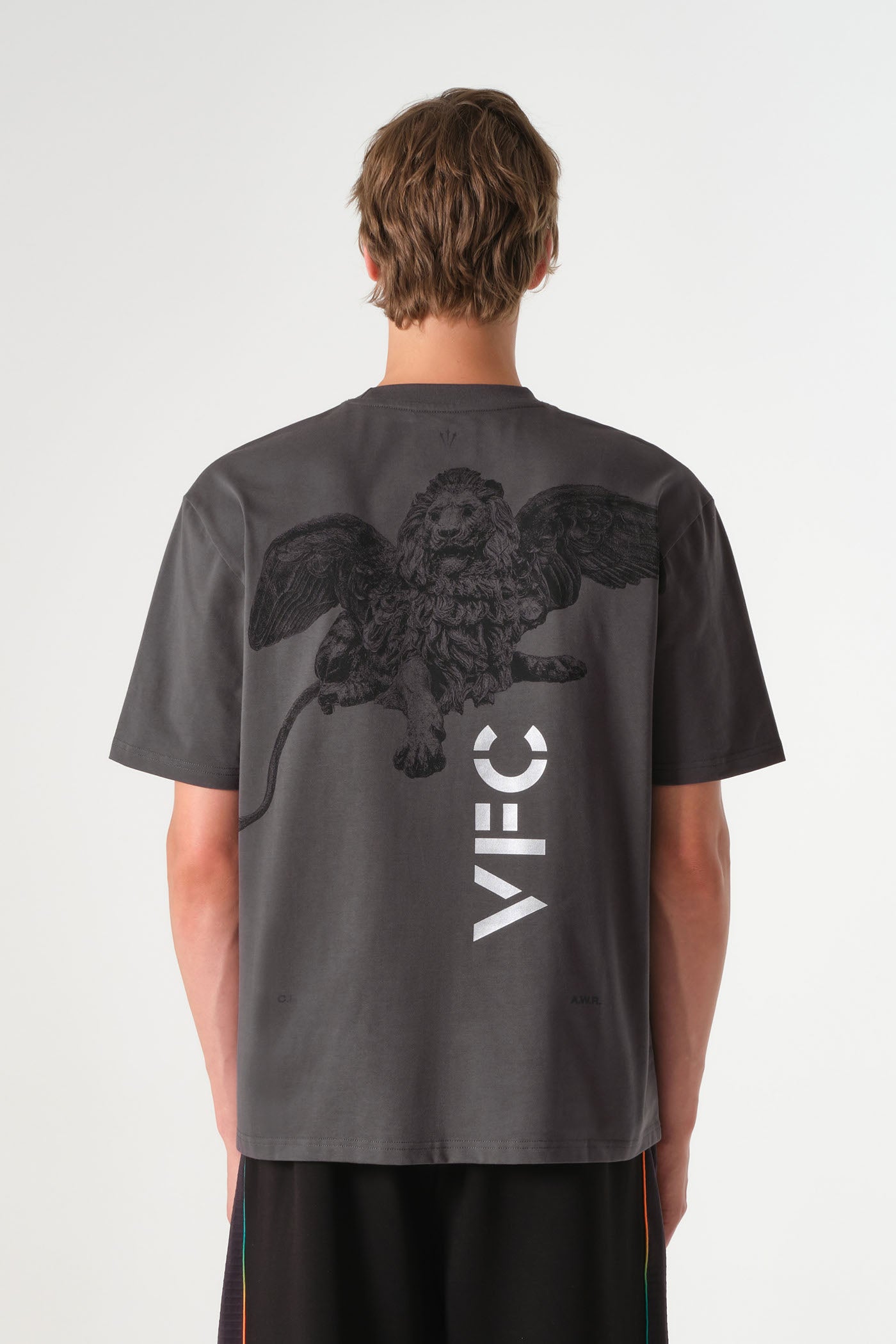 26/27 VFC Travel Lion Statue Tee Dark Grey