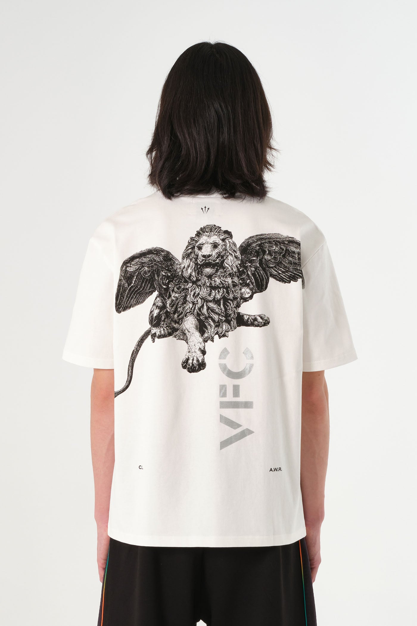 T-shirt Lion Statue Bianca VFC Travel 26/27
