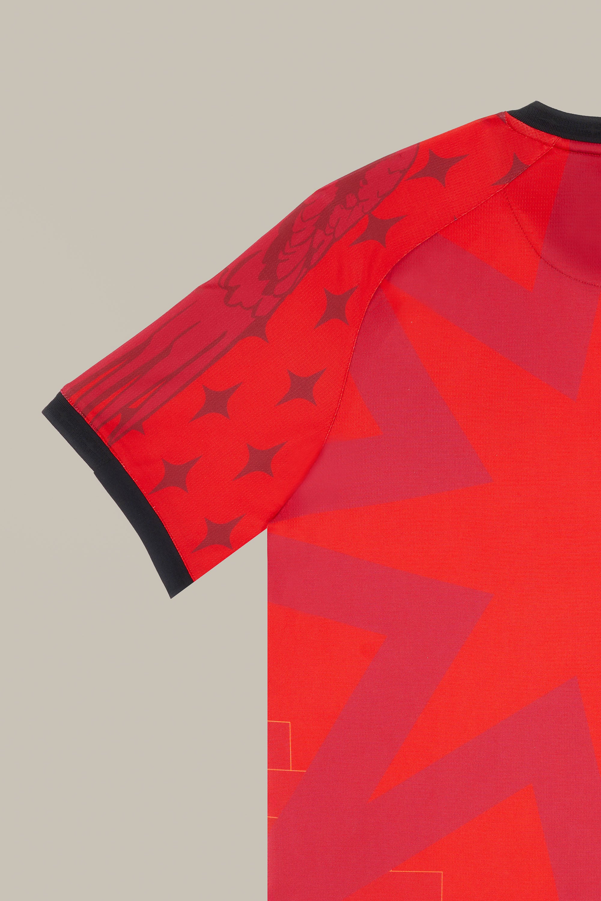 25/26 Special Edition Match Fourth Jersey