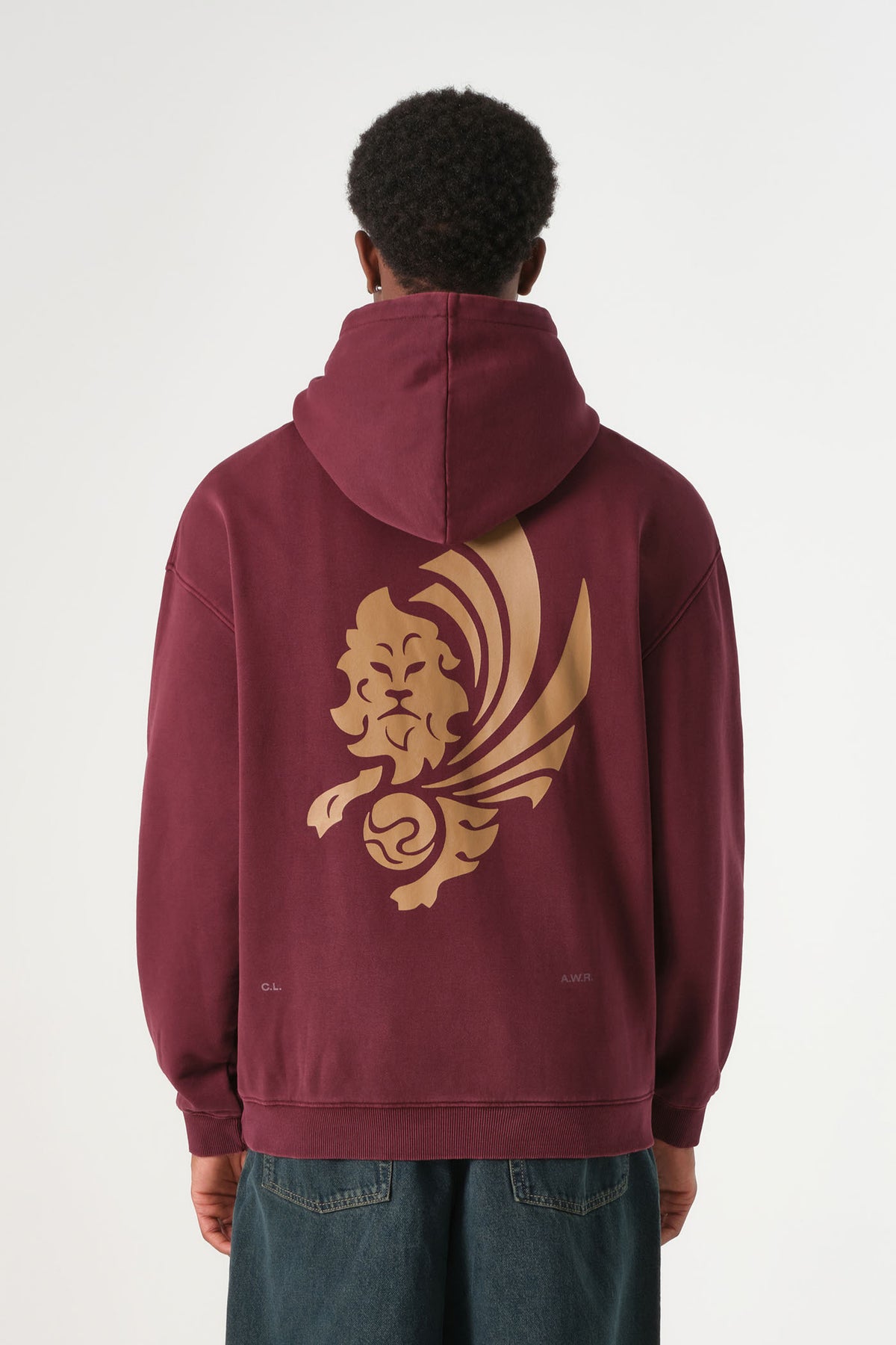 Felpa Lion Crest 26/27
